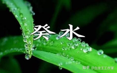 葵水命格|八字十天干癸水是什么命 八字十天干癸水详解